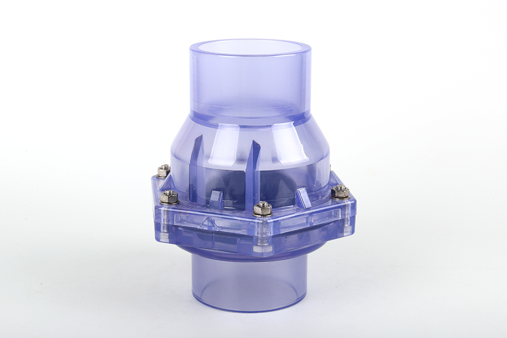 香坊透明翻板式止回阀